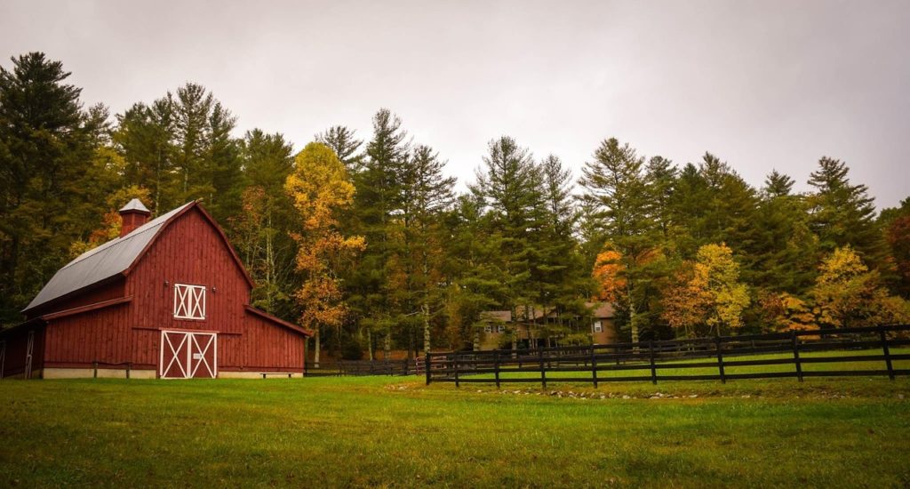 barn, farm, ranch