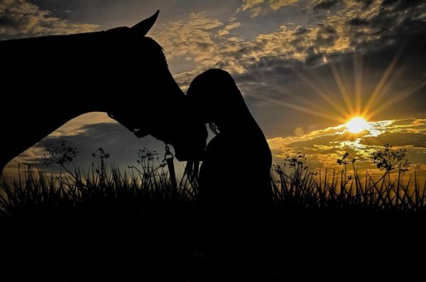 horse, animal, girl