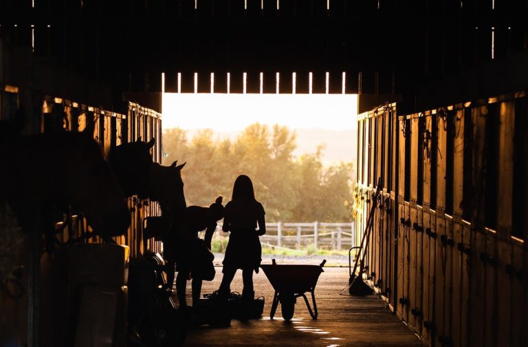 ranch, girl, farm